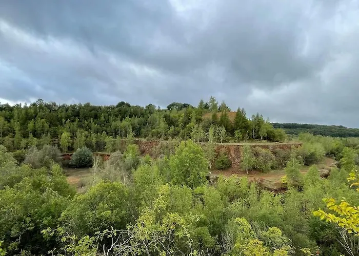 Studio situé aux abords de la forêt avec parking