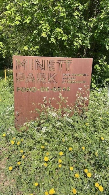 Apartment Studio Situe Aux Abords De La Foret Avec Parking Differdingen